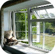 Window 